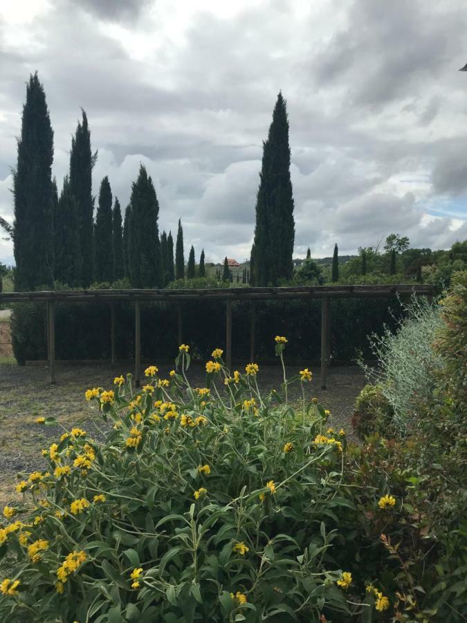 Casa Vacanze "Casale Al Pino" Riparbella Eksteriør billede